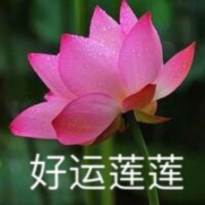 7k7k方块大碰撞游戏下载